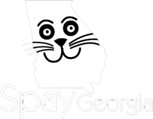 SpayGeorgia